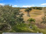 25003 Cypress Pond Court - Photo 49