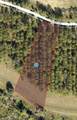 16822 Artimino Loop - Photo 4