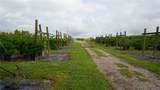  Douglas Road - Photo 6