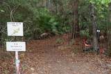 26927 Forest Hills Street - Photo 63