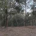 0 Alturas Babson Park Cutoff Road - Photo 4