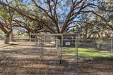 43411 State Road 19 - Photo 40