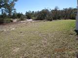 10 Fisher Loop - Photo 15