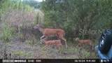 4620 405TH Street - Photo 42