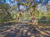 13524 Corkwood Lane - Photo 3