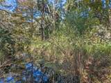 13524 Corkwood Lane - Photo 6
