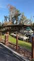 3016 Manatee Road - Photo 36