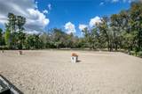 22301 Coronado Somerset Drive - Photo 58