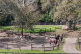 22301 Coronado Somerset Drive - Photo 66