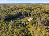 38805 Emeralda Island Road - Photo 39