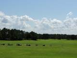 13421 92ND COURT Road - Photo 51