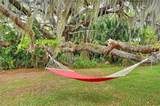 7 Cocos Plumosa Drive - Photo 40