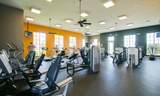 329 Silver Maple Road - Photo 48