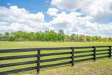 1647 Campos Drive - Photo 3