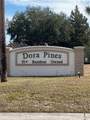 2470 Karen Drive - Photo 44