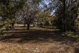 100 Old Wire Road - Photo 3