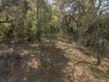 100 Old Wire Road - Photo 9