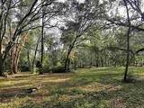 21289 County Road 455 - Photo 38