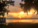 32739 Lake Eustis Drive - Photo 83