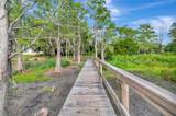 10838 Priebe Road - Photo 50