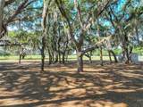  Trotting Horse Lane - Photo 8