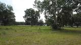 1020 Duck Box Road - Photo 10