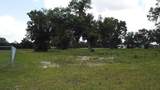 1020 Duck Box Road - Photo 11