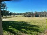 26821 Bella Vista Drive - Photo 5