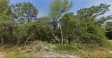  133 Loop - Photo 3