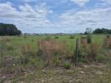  Cr 229 - Photo 3