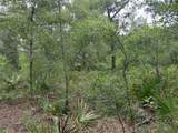  Peanut Drive - Photo 11