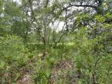  Peanut Drive - Photo 12