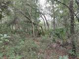  Peanut Drive - Photo 15