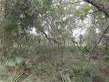  Peanut Drive - Photo 16