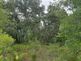  Peanut Drive - Photo 6