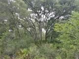  Peanut Drive - Photo 9