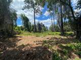  County Road 42 - Photo 2
