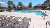12549 Hammock Pointe Circle - Photo 28