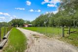 21301 Quail Hammock Lane - Photo 60