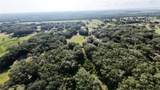 41739 Thomas Boat Landing Road - Photo 2
