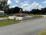 137 Jacaranda Drive - Photo 47
