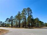 35135 Pinegate Trail - Photo 13