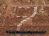 35135 Pinegate Trail - Photo 17