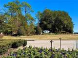 35135 Pinegate Trail - Photo 28