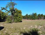 0 South Lake Hiawatha Drive - Photo 15