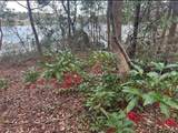 0 South Lake Hiawatha Drive - Photo 4