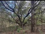 0 South Lake Hiawatha Drive - Photo 7