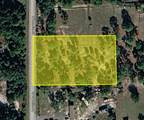 345 Palomino Street - Photo 1