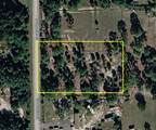 345 Palomino Street - Photo 3