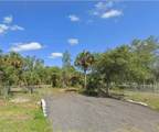 345 Palomino Street - Photo 8